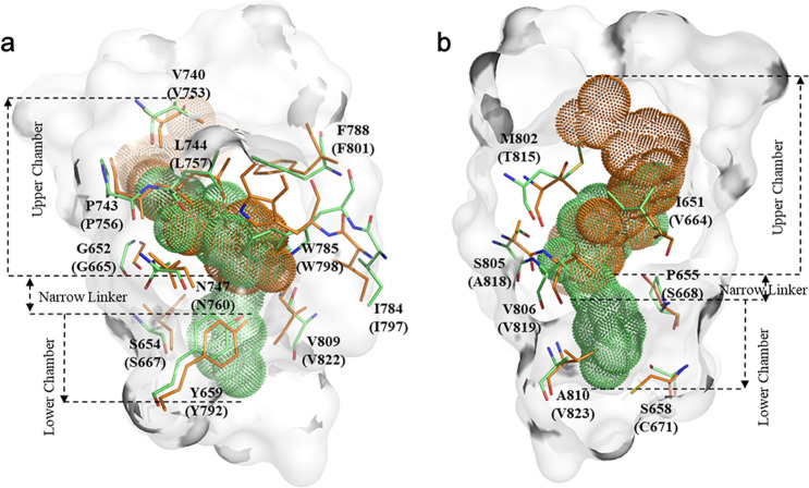 Fig. 7