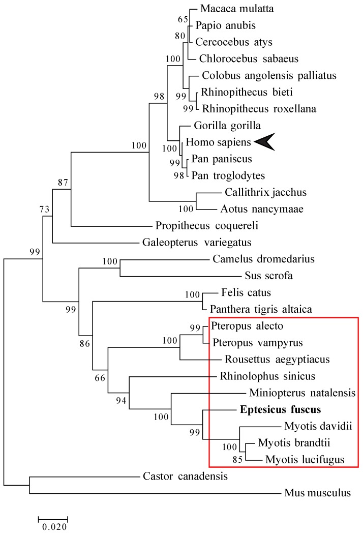 Figure 6