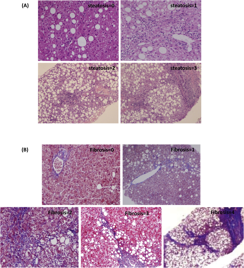 Figure 1