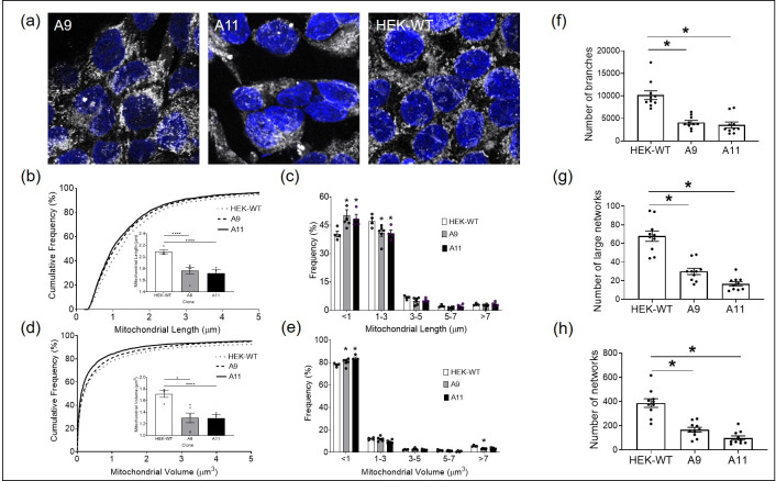 Fig 8