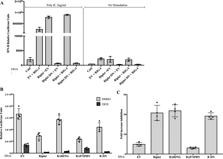 FIG 6