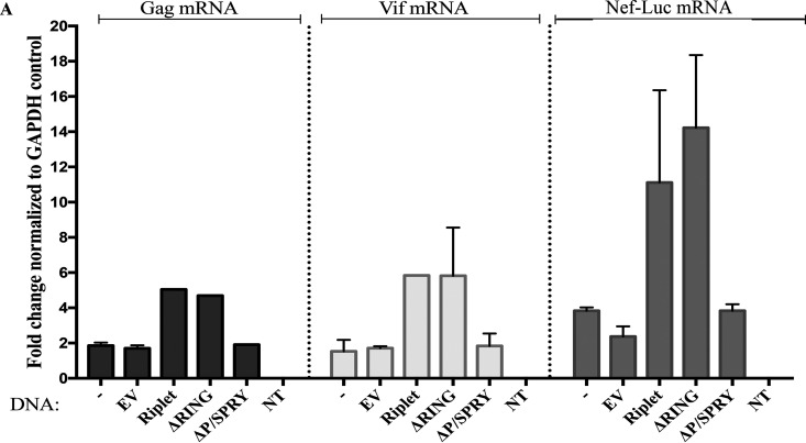 FIG 3