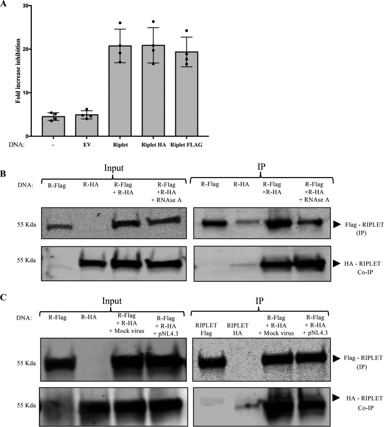 FIG 4