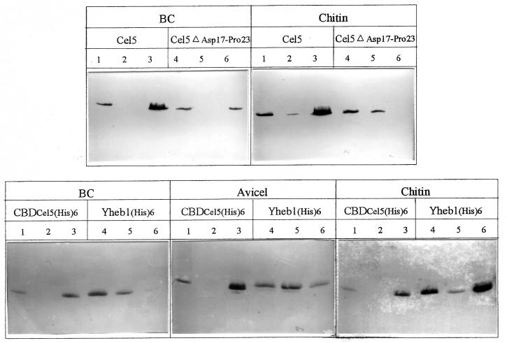 FIG. 3