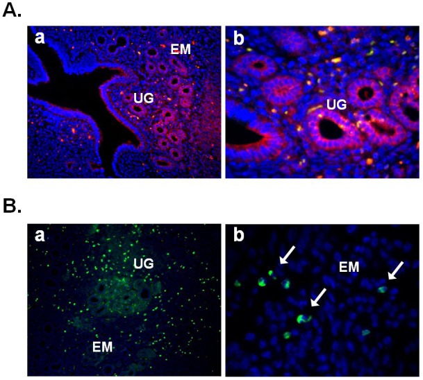 Fig. 4.