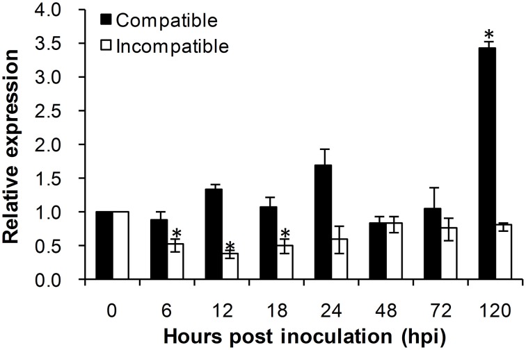 Figure 5