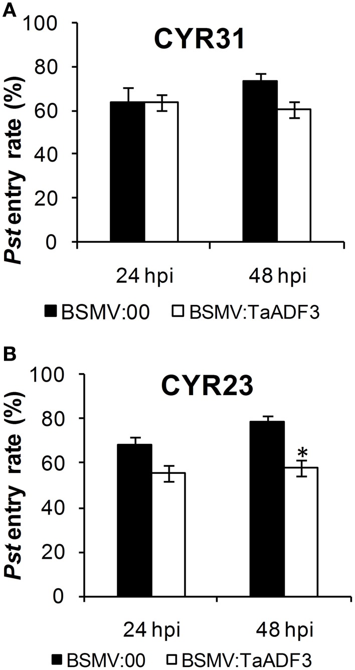 Figure 10