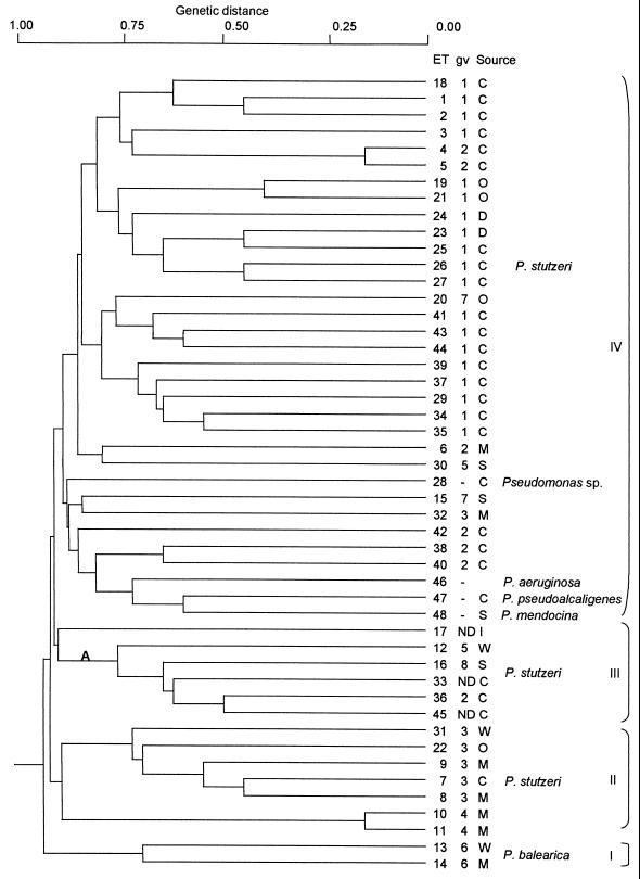 FIG. 1