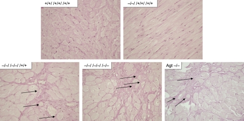 Figure 5