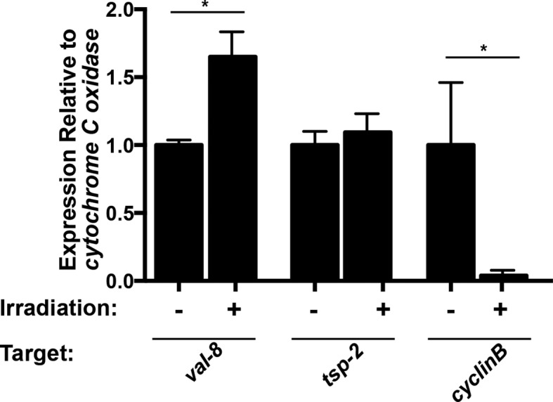 Figure 1—figure supplement 2.