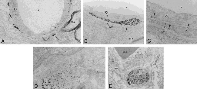 fig 3.