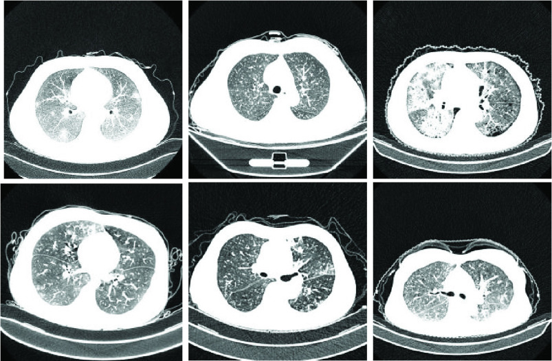 Fig. 6.