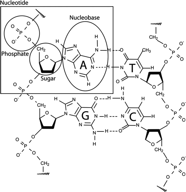 FIG. 3.