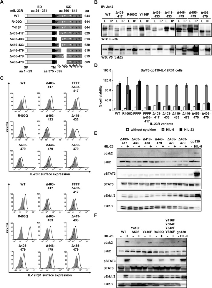 FIGURE 7: