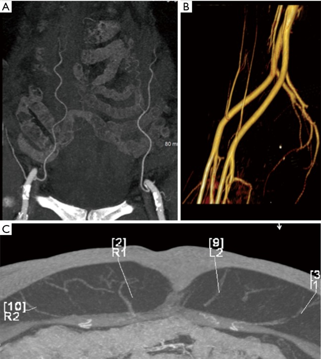 Figure 2