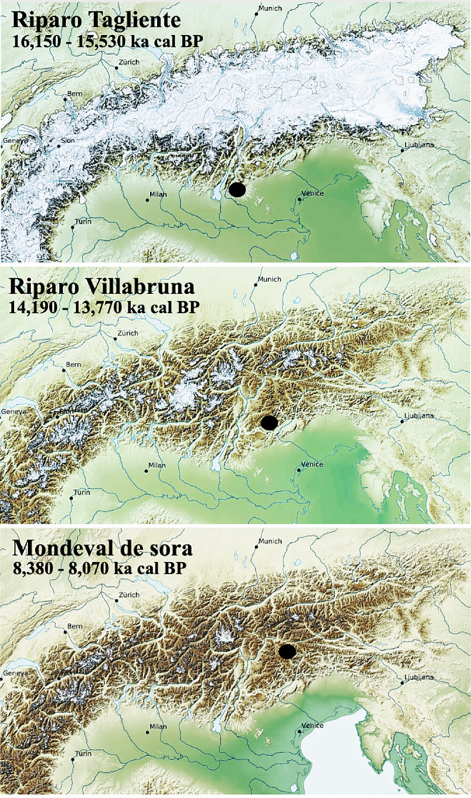 FIGURE 1