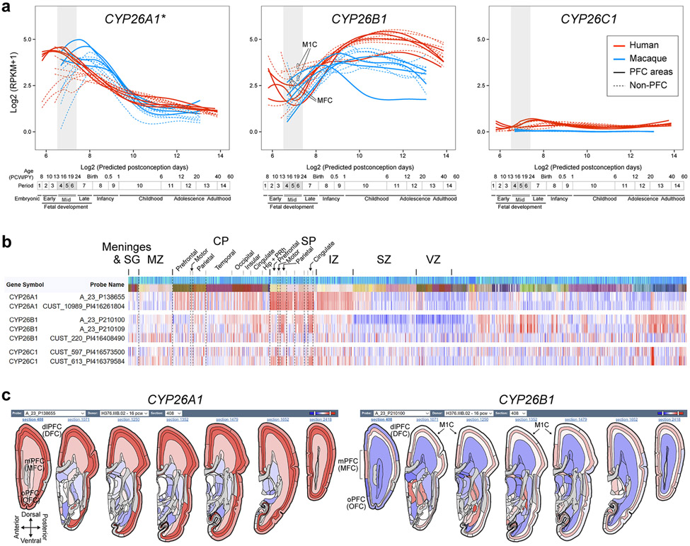 Extended Data Fig. 7. ∣