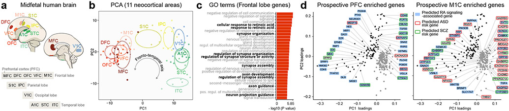 Fig. 1 ∣