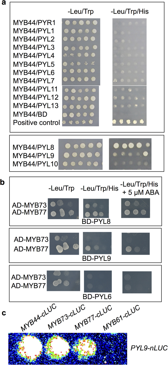 Figure 6