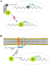 Fig. 3