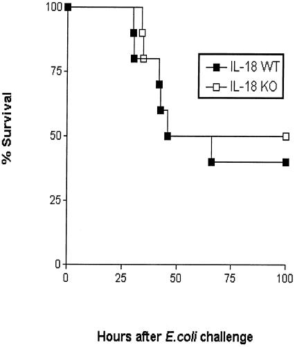 FIG. 10.