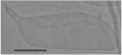 Figure 8.
