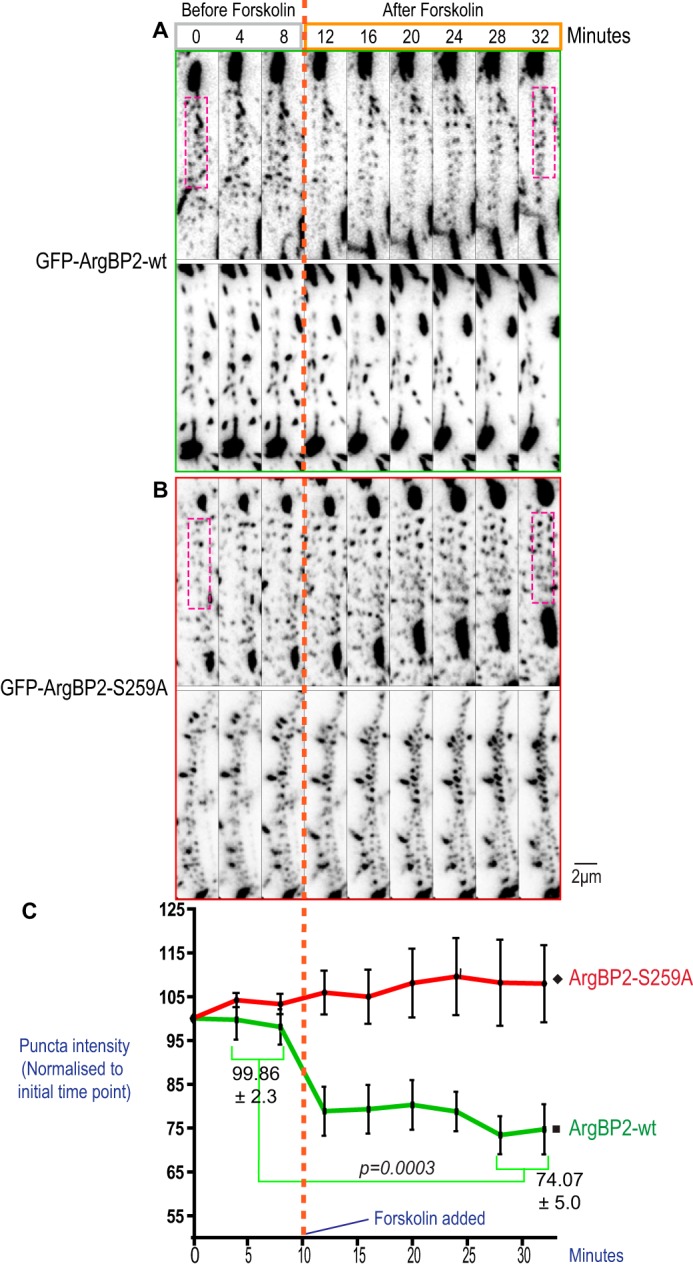 FIGURE 9.