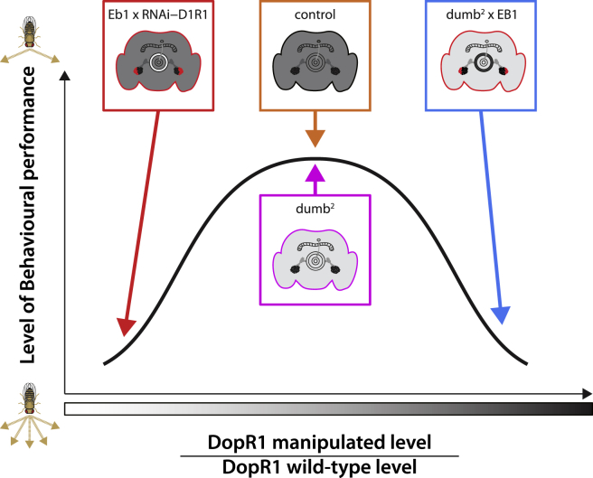 Figure 6