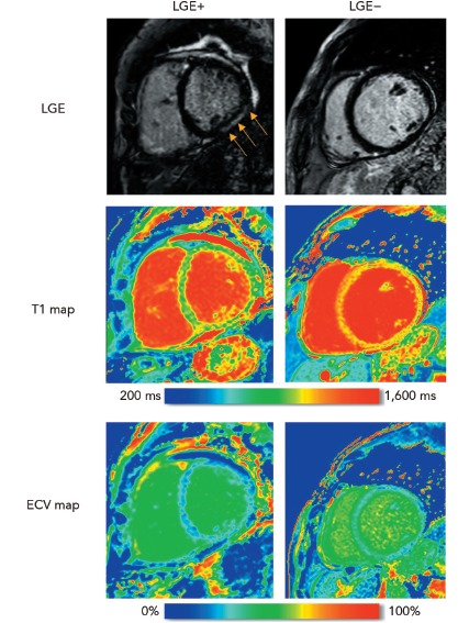 Figure 2: