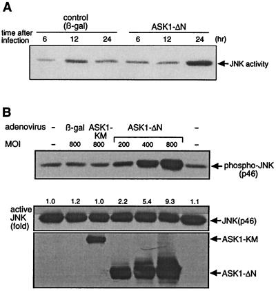 FIG. 5