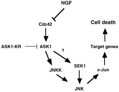 FIG. 7