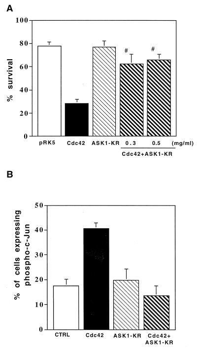 FIG. 6