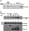 FIG. 5