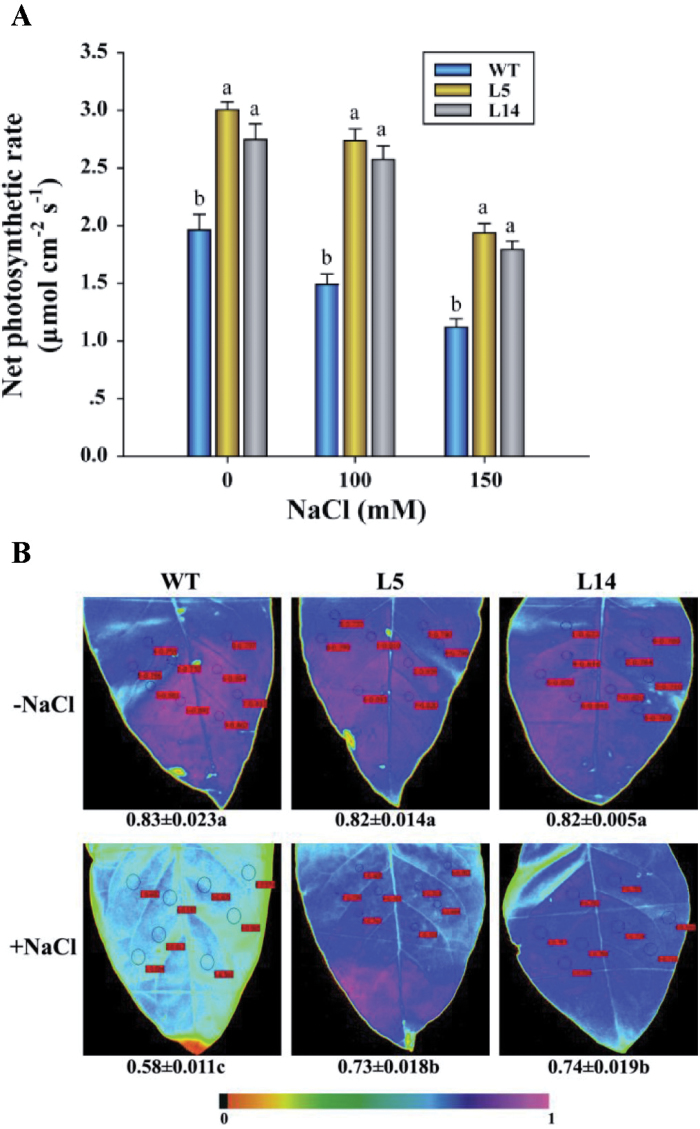 Fig. 6.