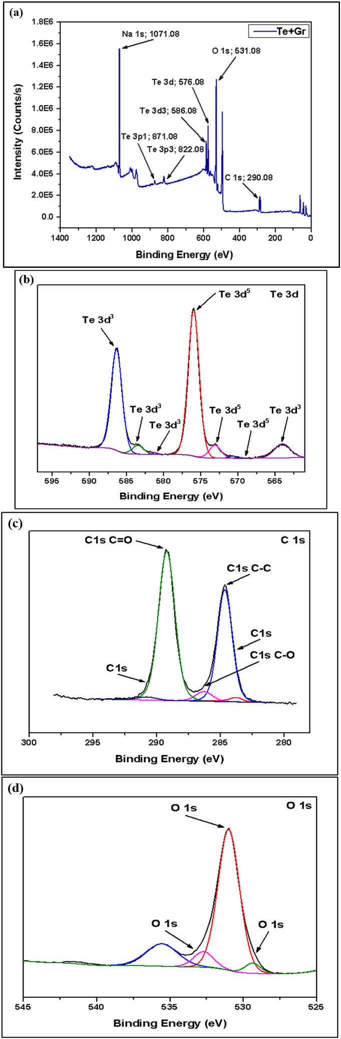 Fig. 12