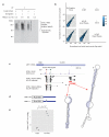 Extended Data Figure 2