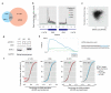 Extended Data Figure 7