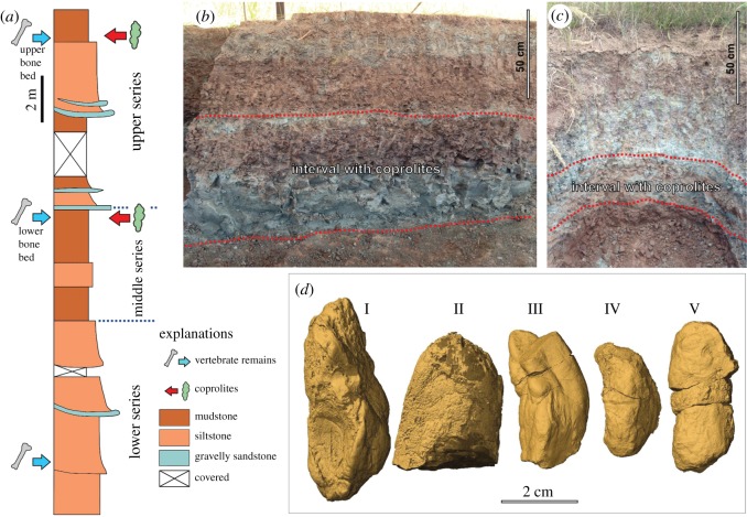 Figure 1.