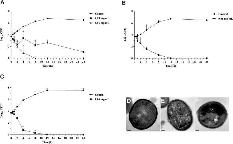 FIGURE 1