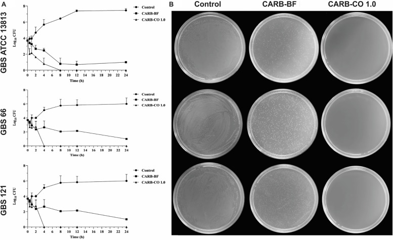 FIGURE 3