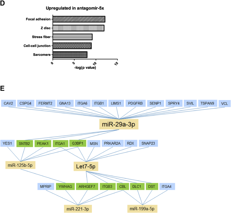 Figure 4