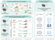 Graphical Abstract