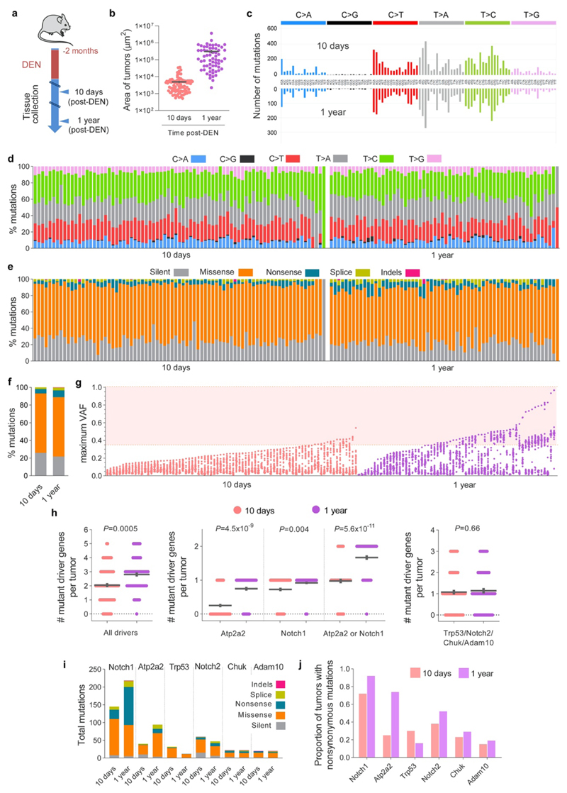 Extended Data Figure 4