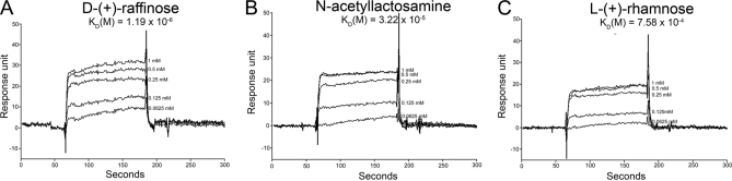 Fig. 8.