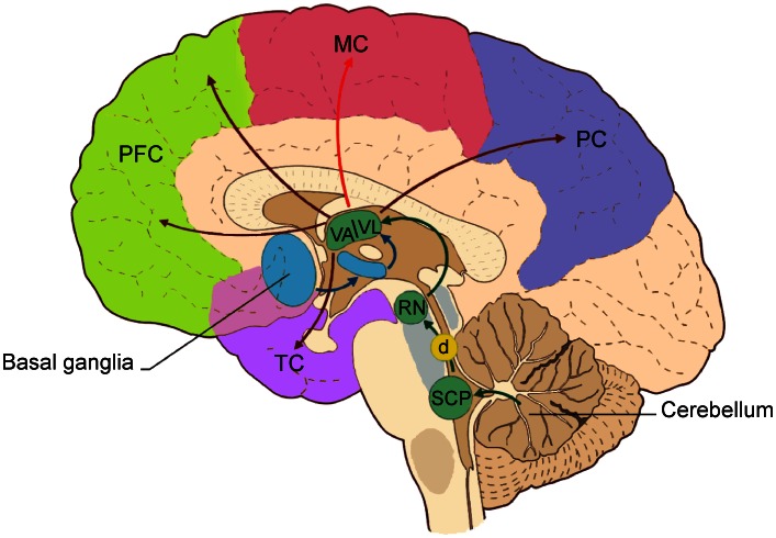 Fig. 1