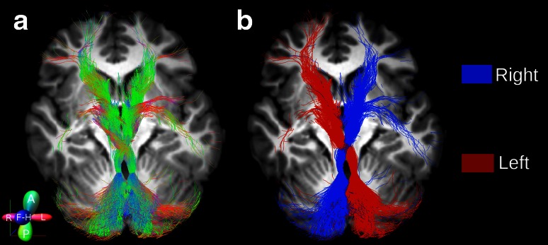 Fig. 4