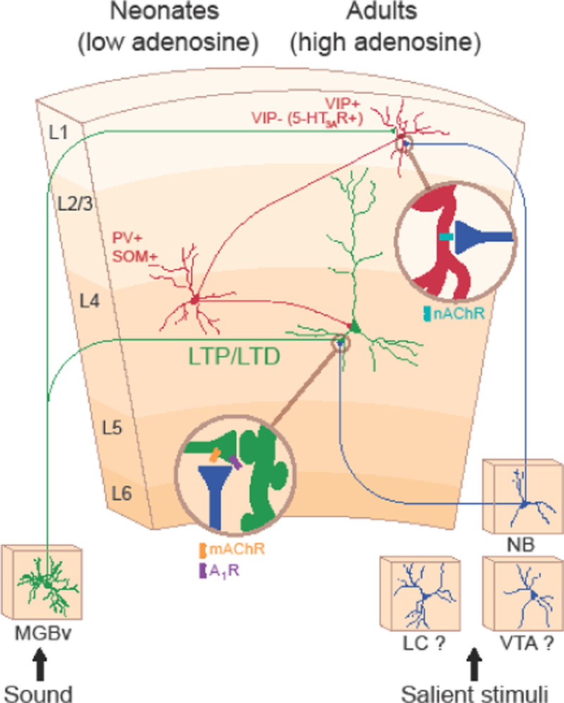 Figure 3.