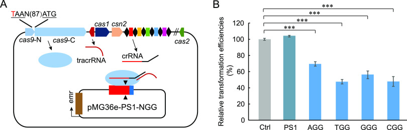 FIG 1