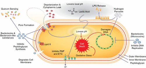 FIGURE 4