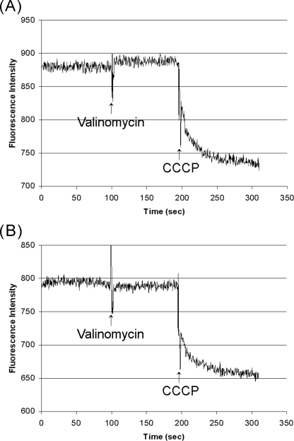 FIGURE 6.